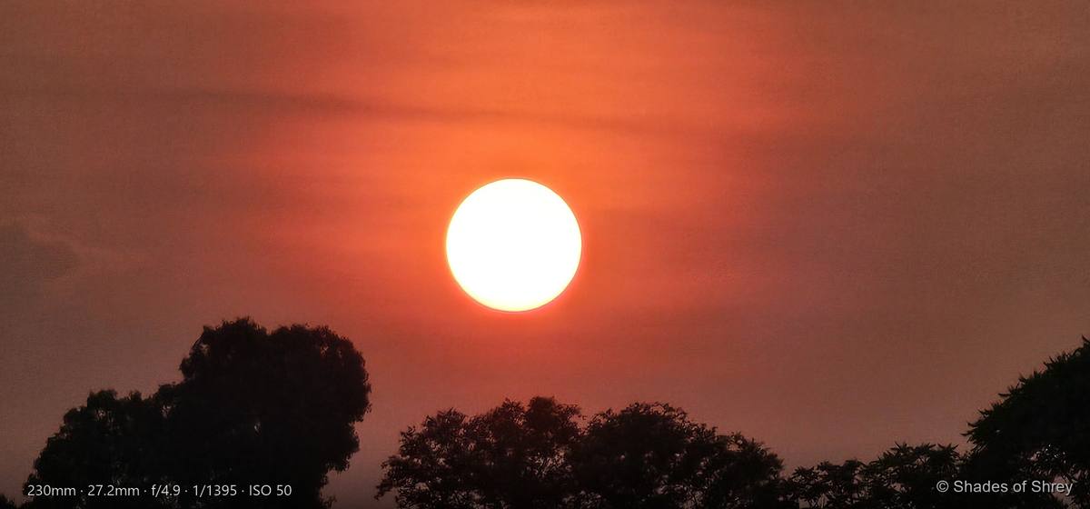 Brilliant white sun in crimson sky with tree silhouettes