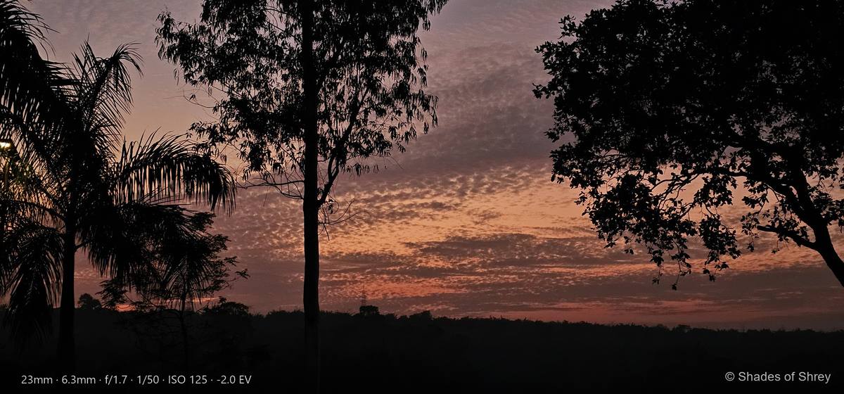 Tropical sunset through palm fronds and silhouetted trees