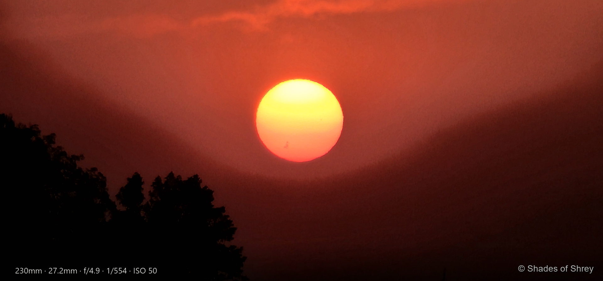 Blazing red sunset with golden sun disc above silhouetted trees