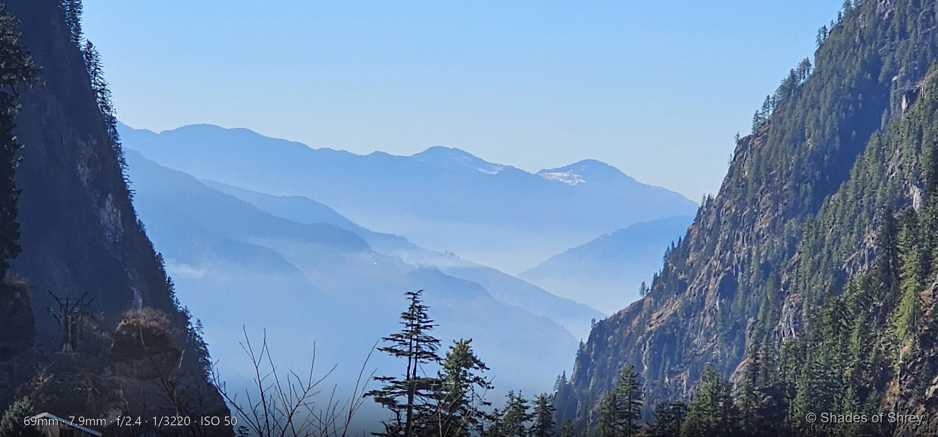 Misty blue Himalayan valley framed by pine-covered ridges