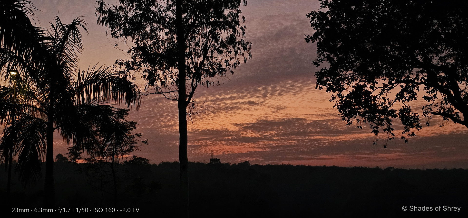 Sunset sky through tropical tree silhouettes with rippled clouds