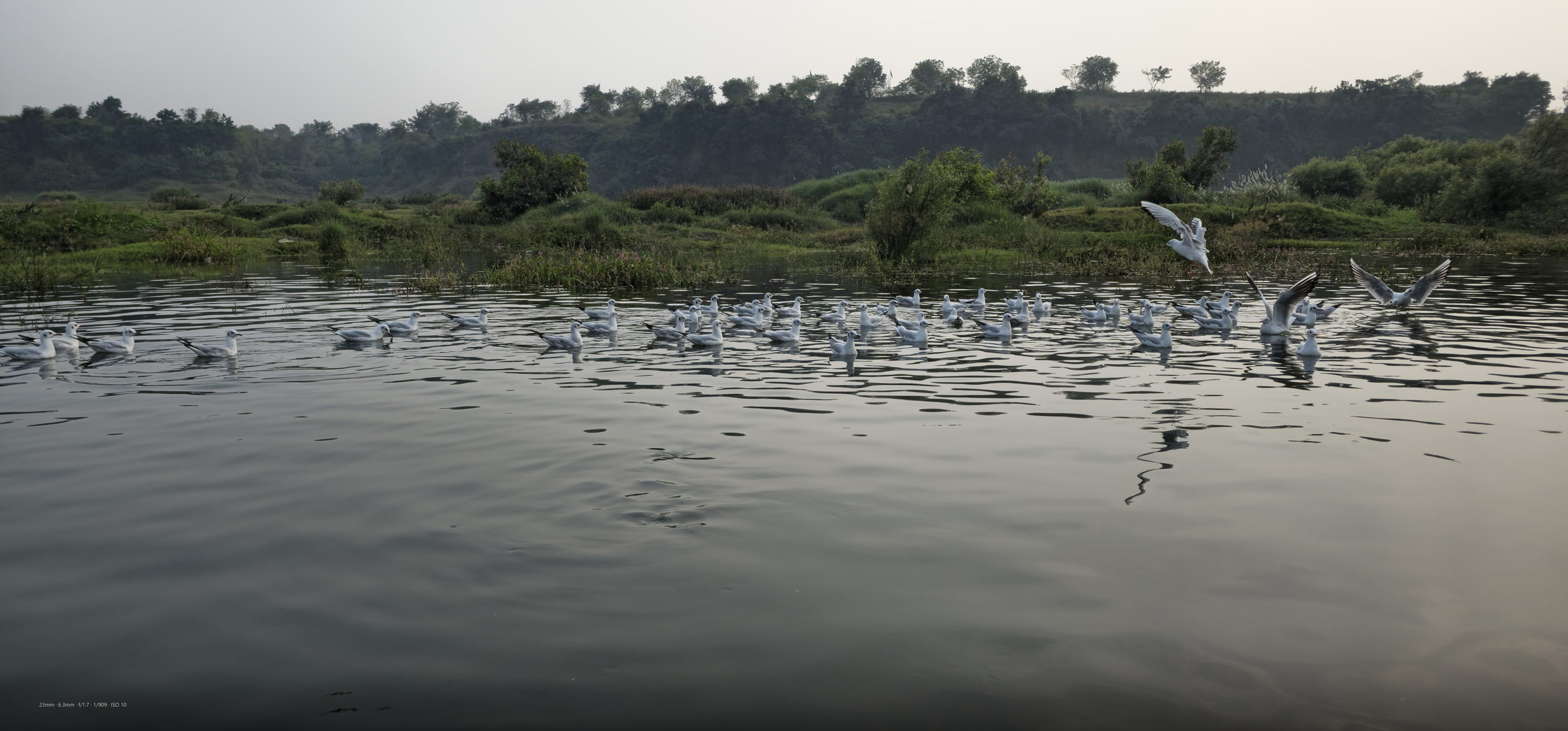 Ancient path through nature