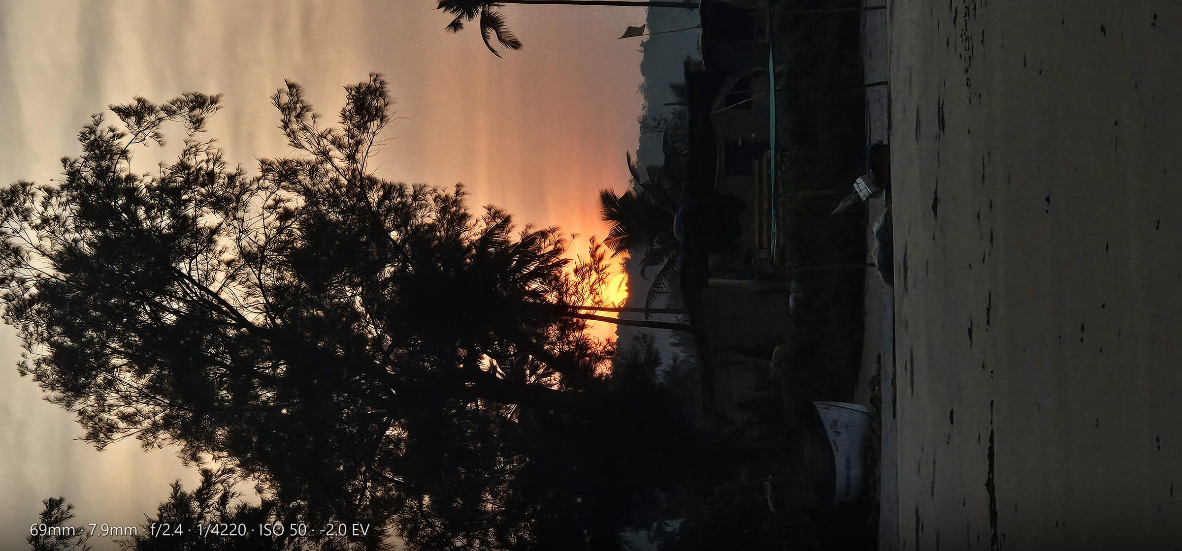 Winter sunlight through trees