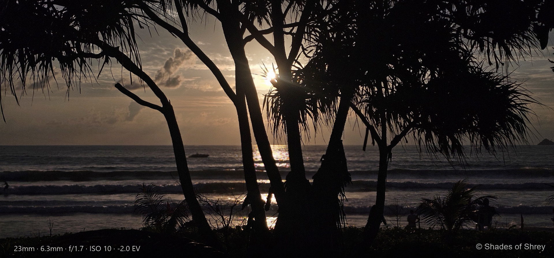 Sunset silhouette of palm tree branches against golden ocean horizon