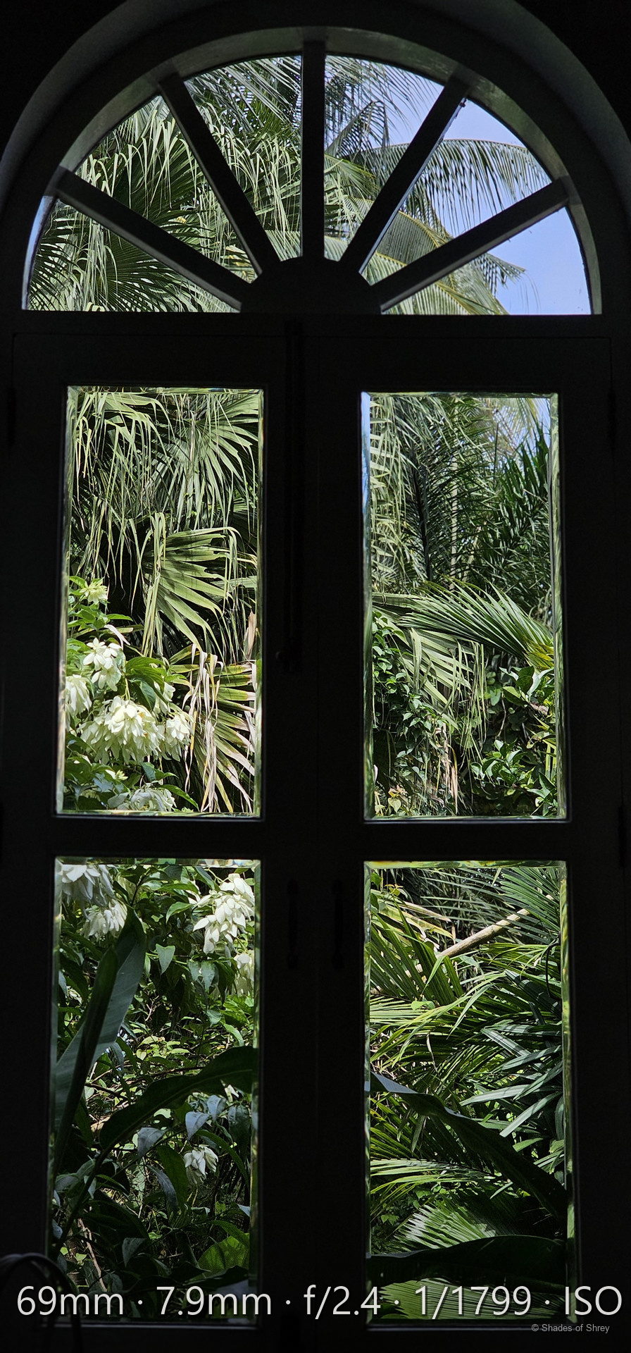 Tropical palms and white flowers seen through an arched colonial window