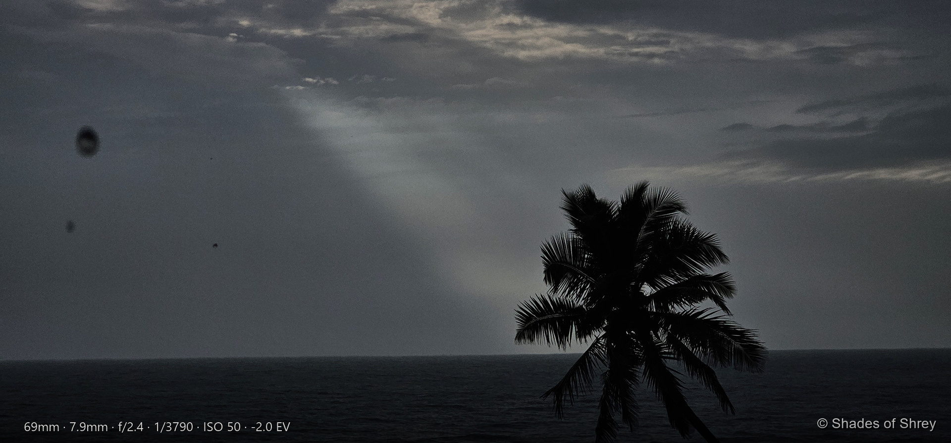 Single god ray breaking through monsoon clouds over dark sea, palm tree silhouette