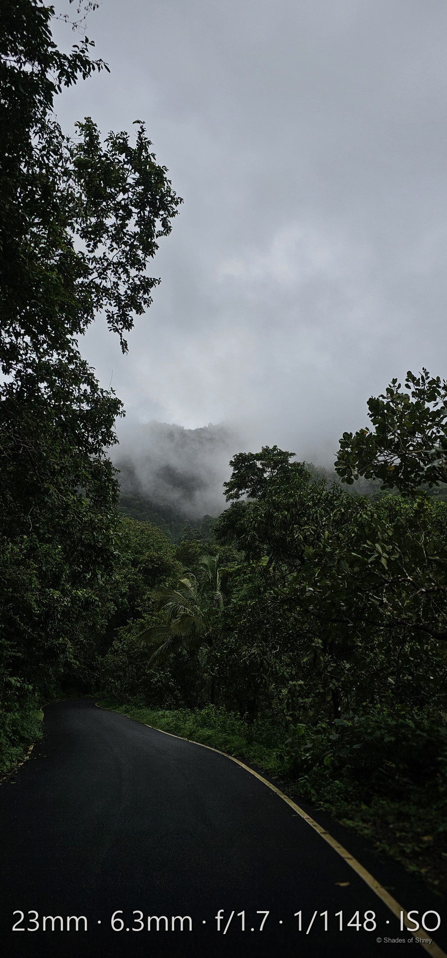 Winding mountain road disappearing into misty jungle, Western Ghats monsoon