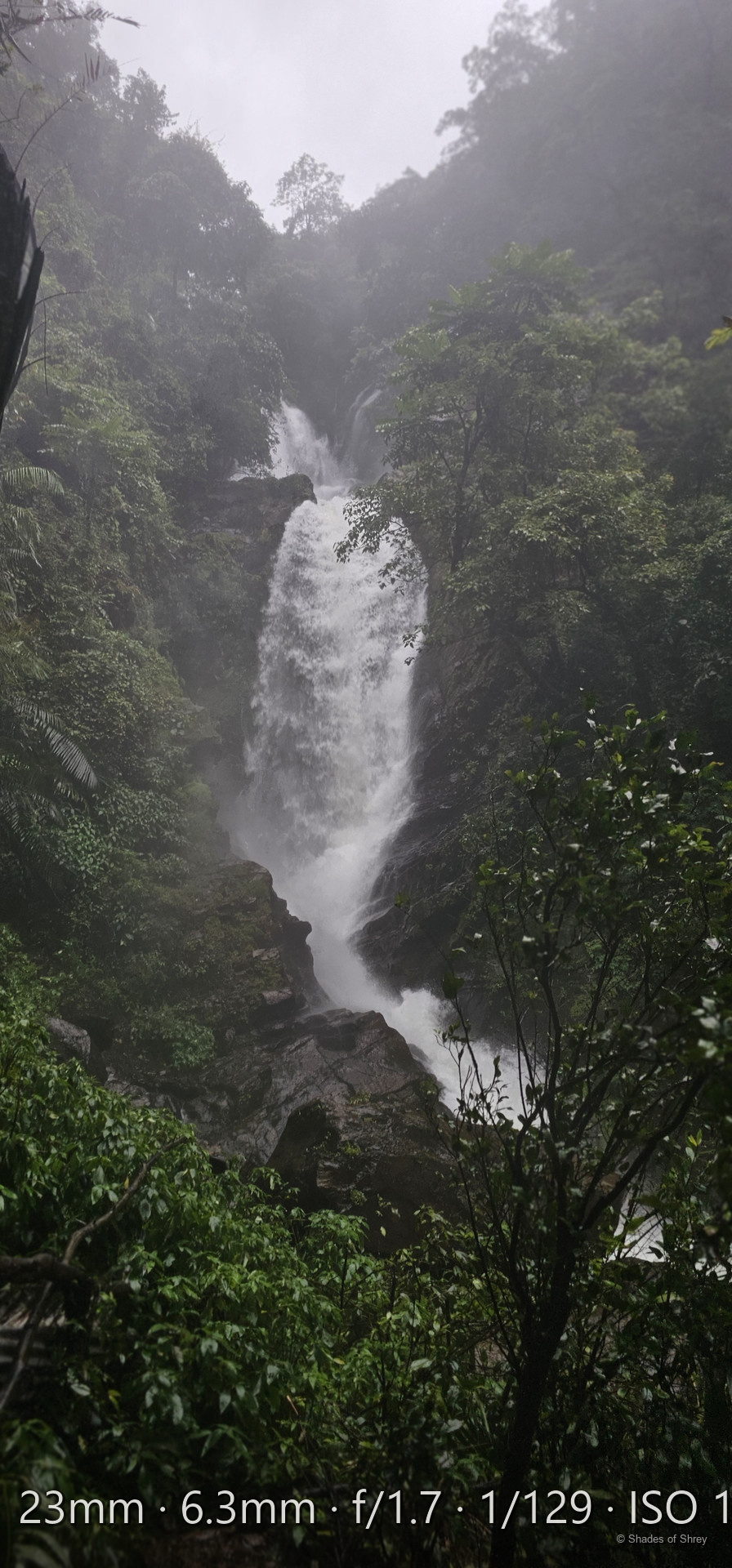 Misty waterfall viewed through dense jungle foliage, Western Ghats