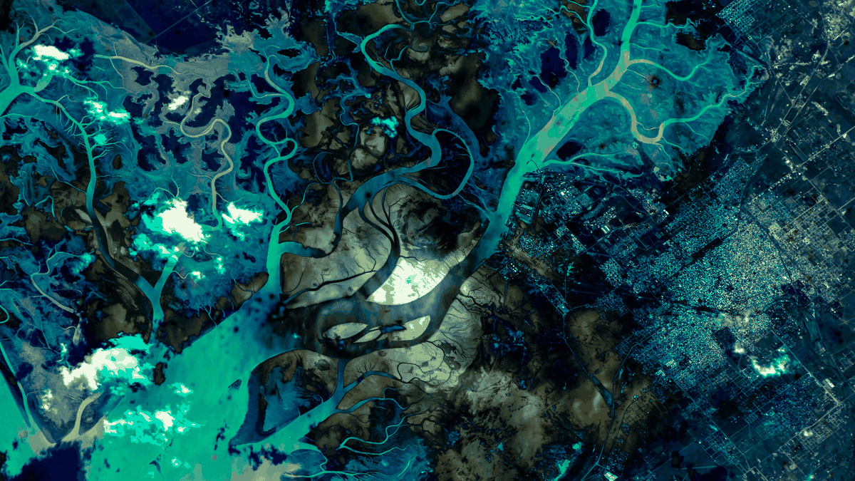 Embracing Uncertainty